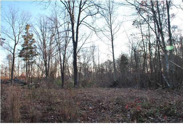 45 Wood Station Road Rock Spring, GA 30739 - Photo 11 of 15 Additional Photo