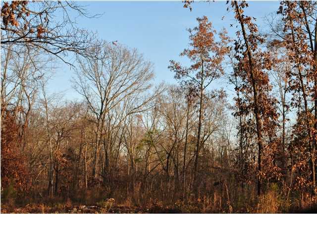 45 Wood Station Road Rock Spring, GA 30739 - Photo 12 of 15 Additional Photo