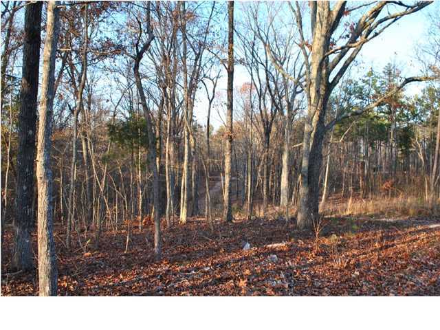 45 Wood Station Road Rock Spring, GA 30739 - Photo 13 of 15 Additional Photo