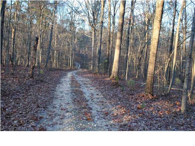 45 Wood Station Road Rock Spring, GA 30739 - Photo 14 of 15 Additional Photo
