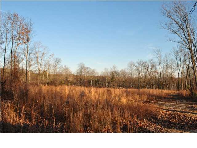 45 Wood Station Road Rock Spring, GA 30739 - Photo 2 of 15 Additional Photo