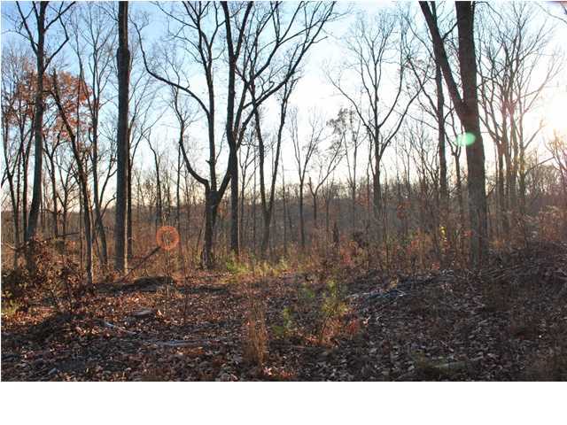 45 Wood Station Road Rock Spring, GA 30739 - Photo 4 of 15 Additional Photo