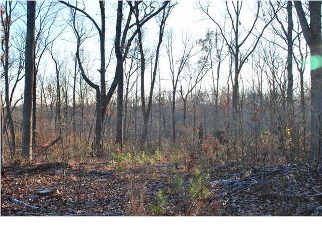 45 Wood Station Road Rock Spring, GA 30739 - Photo 5 of 15 Additional Photo
