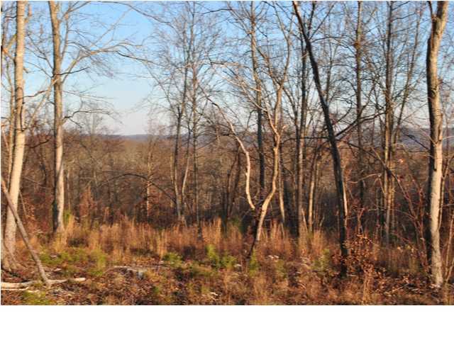 45 Wood Station Road Rock Spring, GA 30739 - Photo 10 of 15 Additional Photo