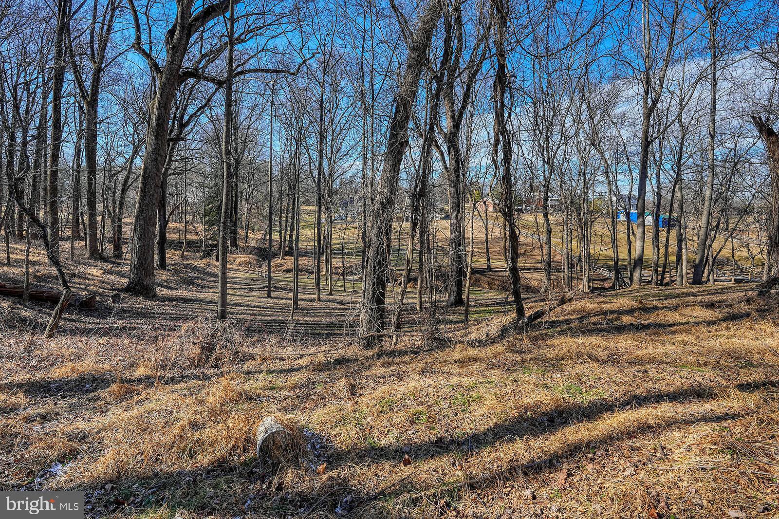 15830 Kruhm Road Burtonsville, MD 20866 - Photo 6 of 13