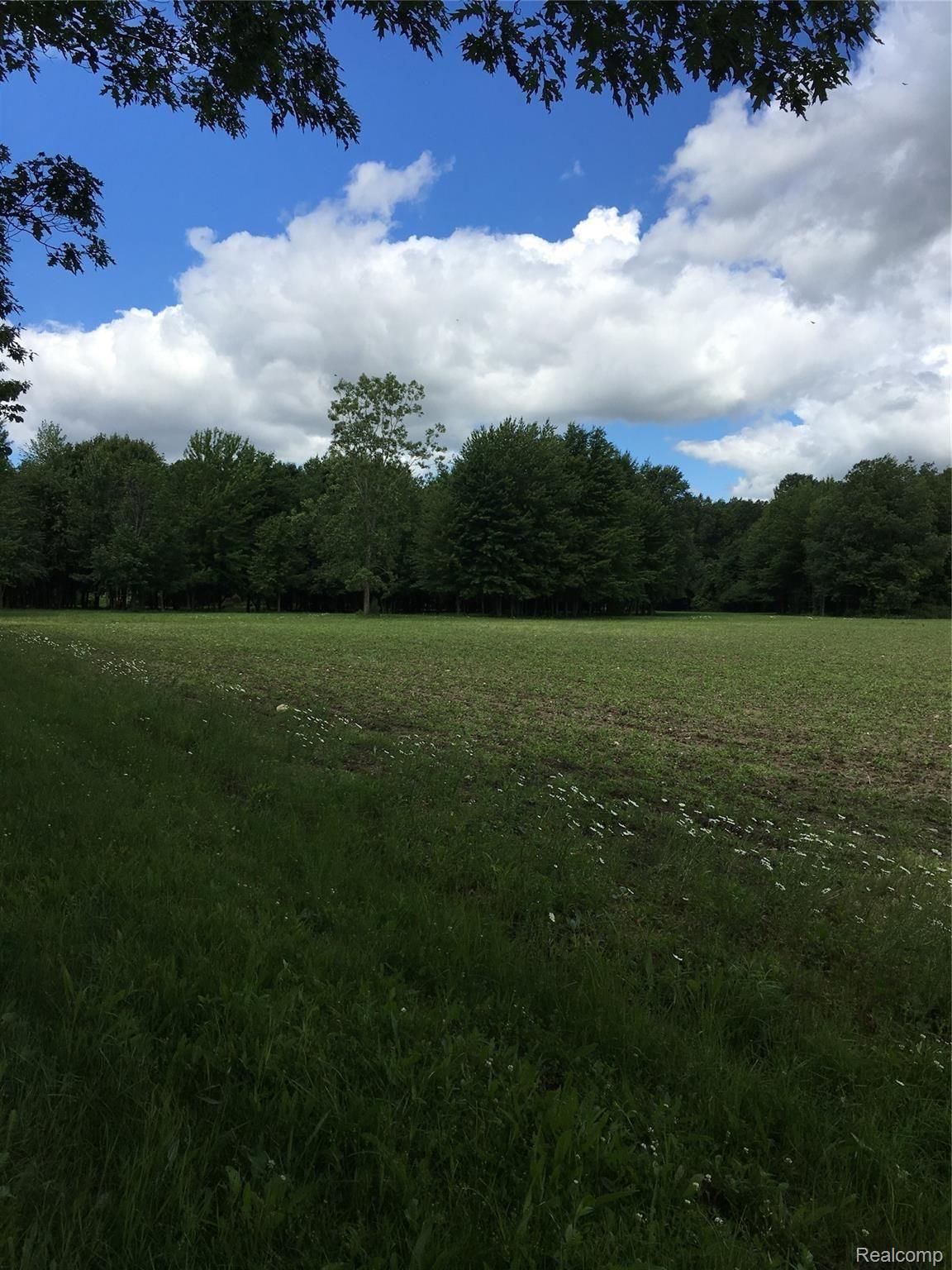 3663 Kilgore Road Avoca, MI 48006 - Photo 50 of 57 Wooded 6 acres at rear of property