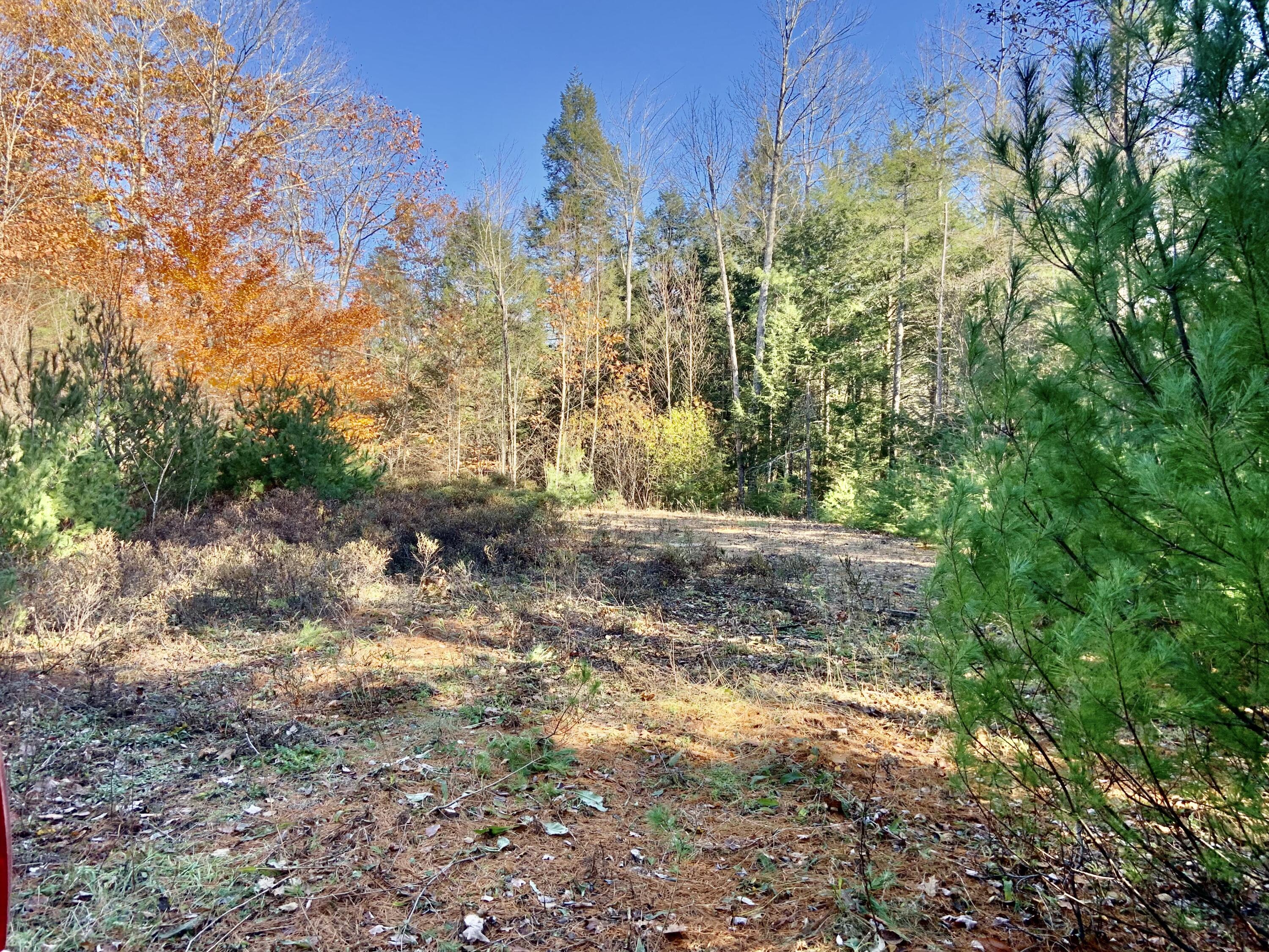 0 Neck Road Litchfield, ME 04350 - Photo 1 of 8 5A75893D-C041-43D2-B89B-D0BF827781AA