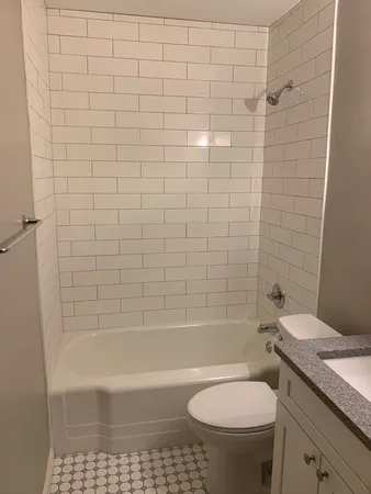 a bathroom with a bathtub and a toilet
