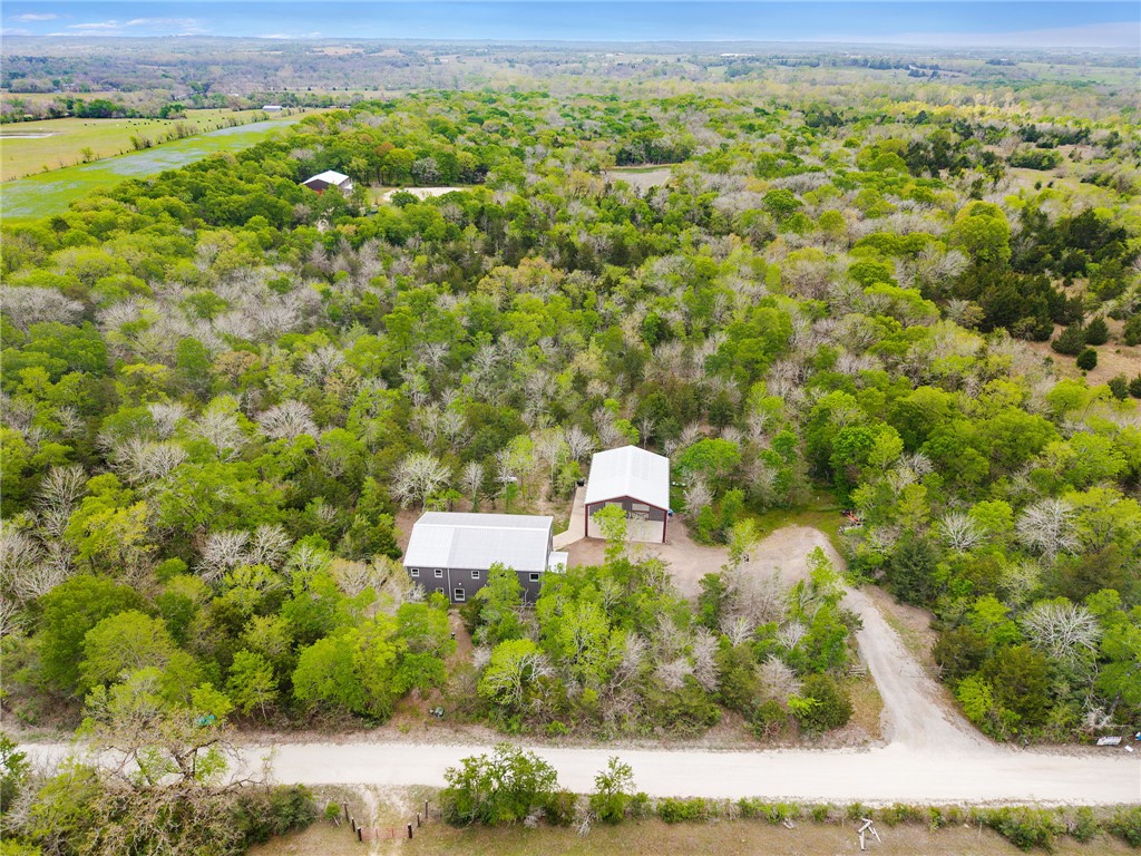 3915 County Road 447 Anderson, TX 77830 - Photo 35 of 40 a view of a green yard with lots of bushes