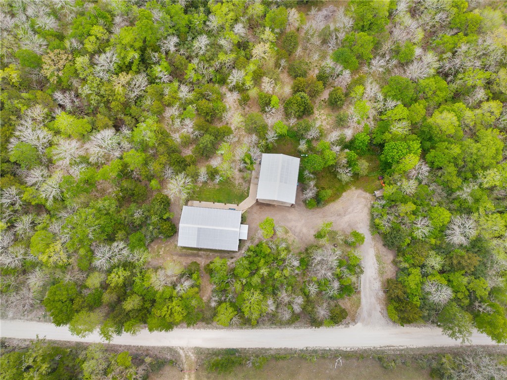 3915 County Road 447 Anderson, TX 77830 - Photo 36 of 40