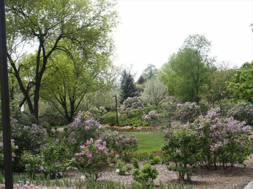 123 West St Charles Road, Unit 307 Lombard, IL 60148 - Photo 3 of 4 a view of a garden with a tree