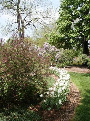 123 West St Charles Road, Unit 307 Lombard, IL 60148 - Photo 4 of 4 a view of a yard with plants and large trees
