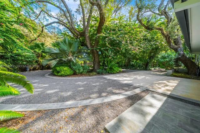 a view of a yard with plants and trees