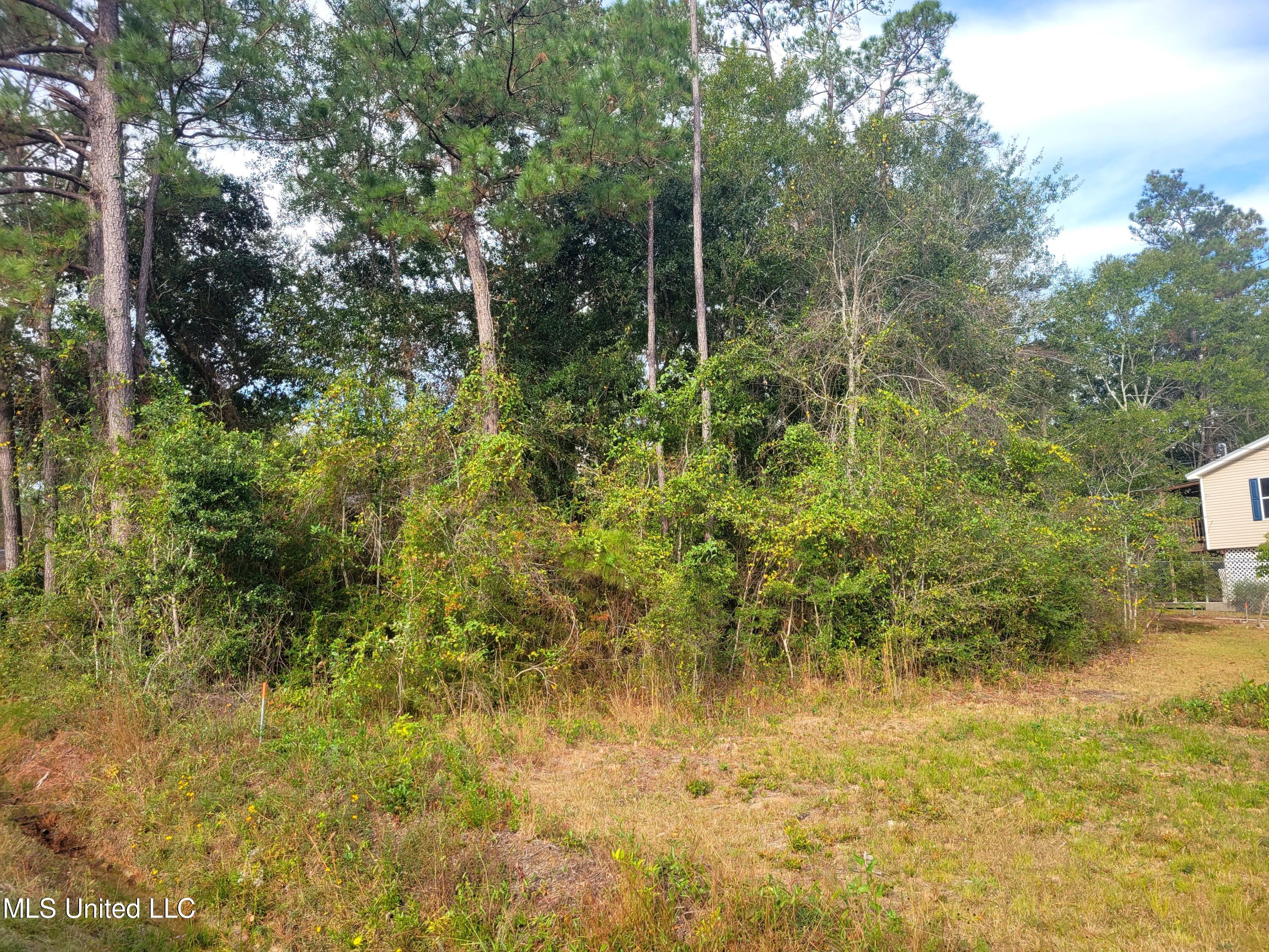 Lot 2 Comanche Street Kiln, MS 39556 - Photo 1 of 5 Lot 2 Comanche Street