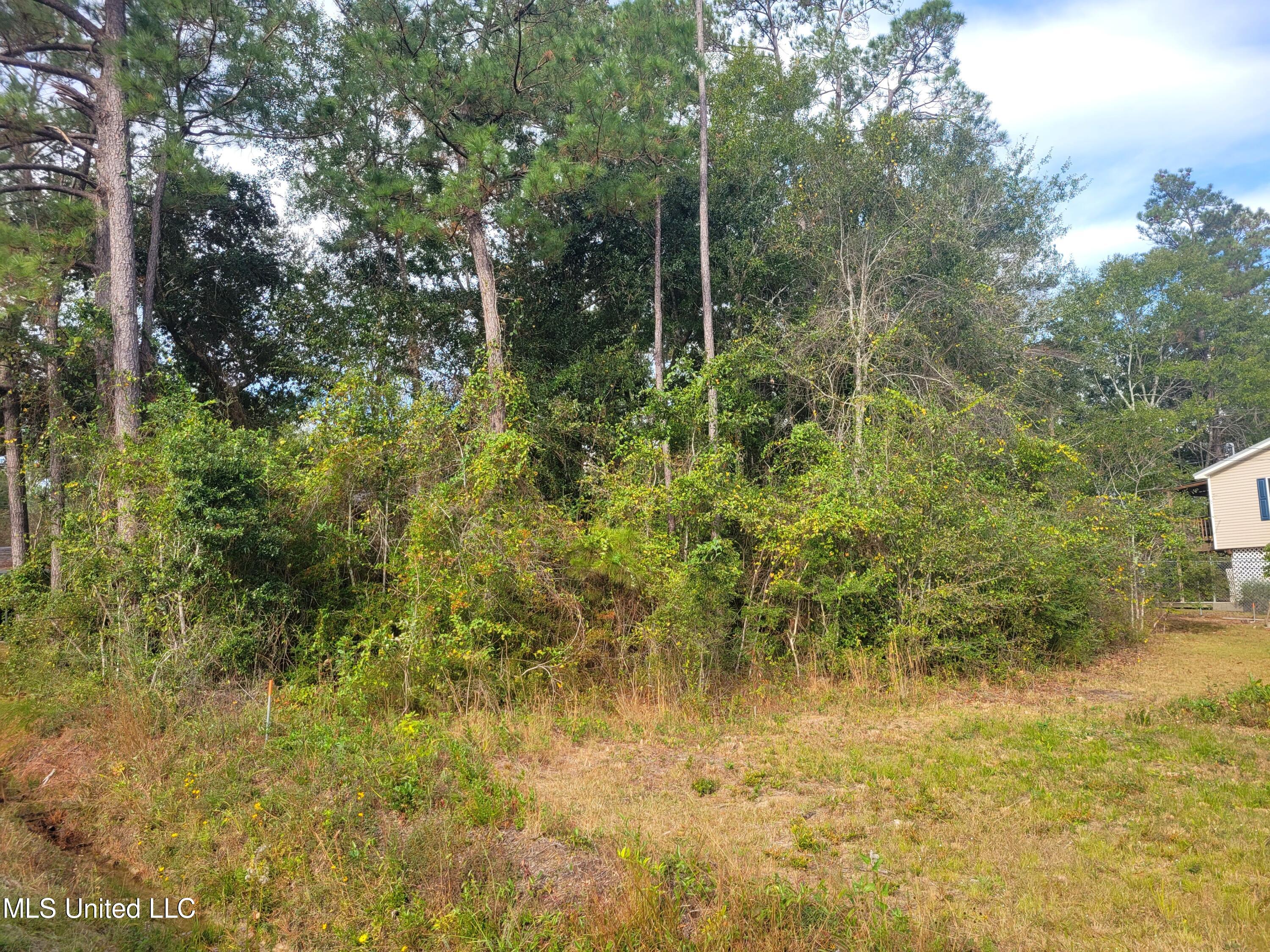 Lot 2 Comanche Street Kiln, MS 39556 - Photo 5 of 5 20221116_092352(0)