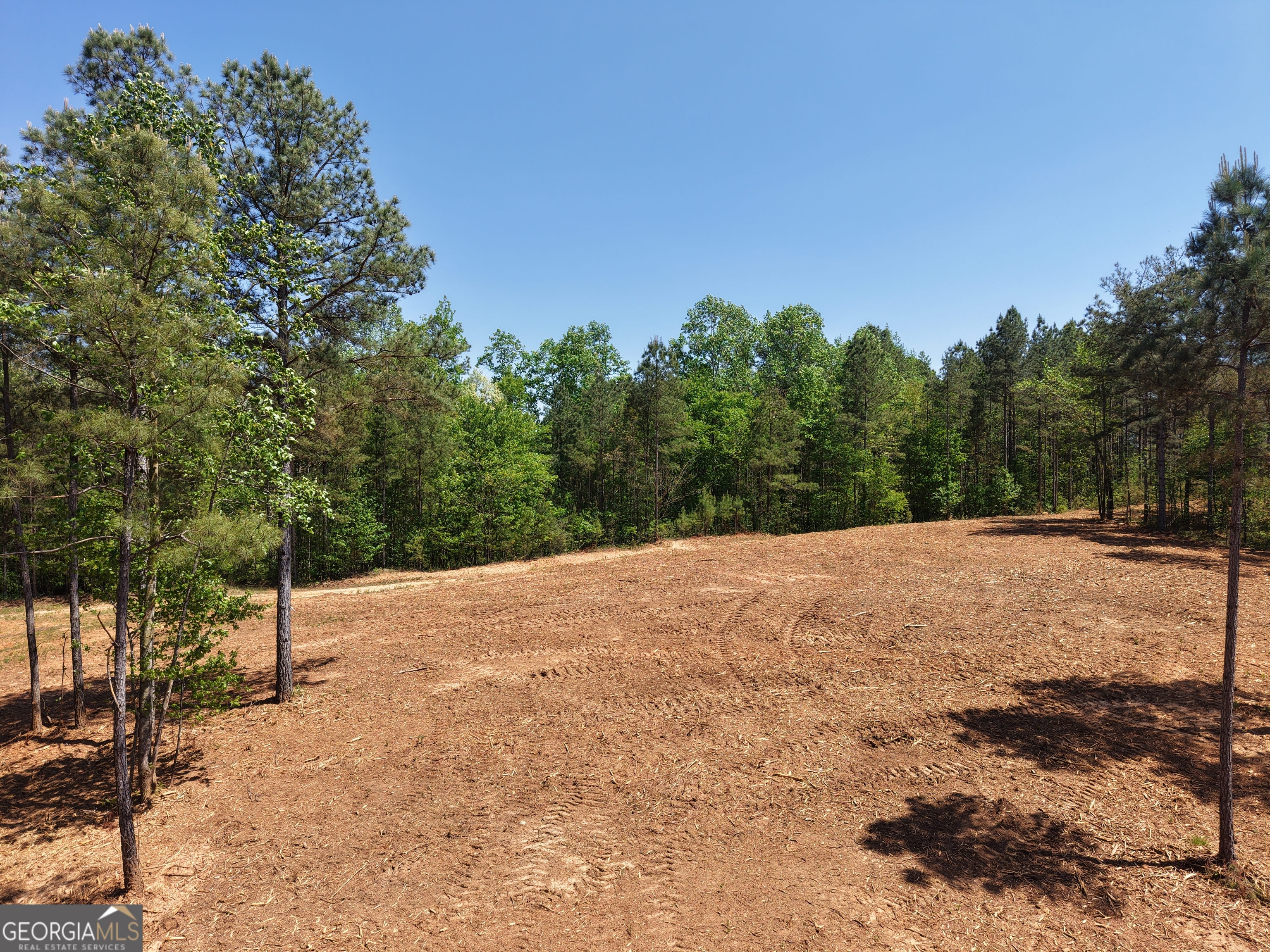 0 Ryo Mountain Road, Unit 9609 Fairmount, GA 30139 - Photo 9 of 87 Gallery Image 9