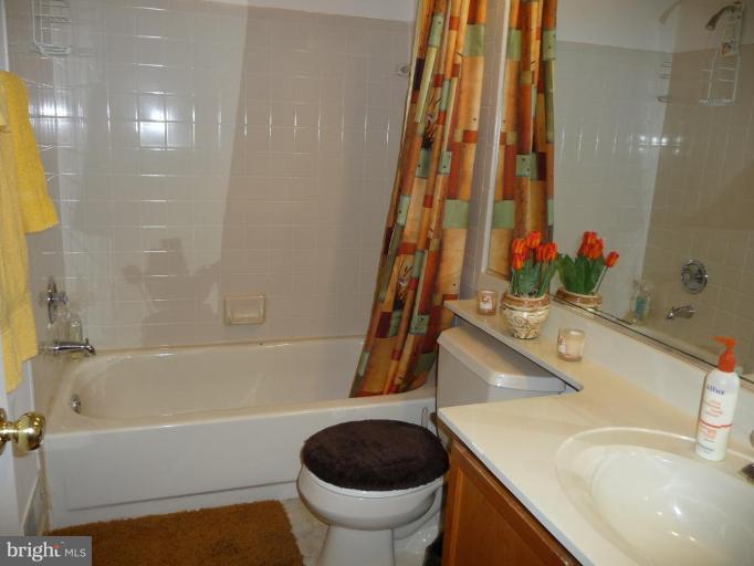 12120 Apache Tears Circle Laurel, MD 20708 - Photo 20 of 30 a bathroom with a sink a toilet and a tub