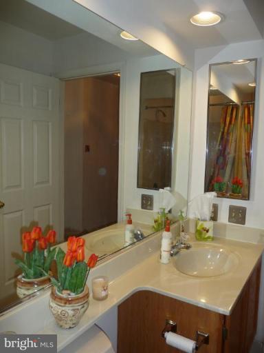 12120 Apache Tears Circle Laurel, MD 20708 - Photo 21 of 30 a bathroom with a sink and a mirror