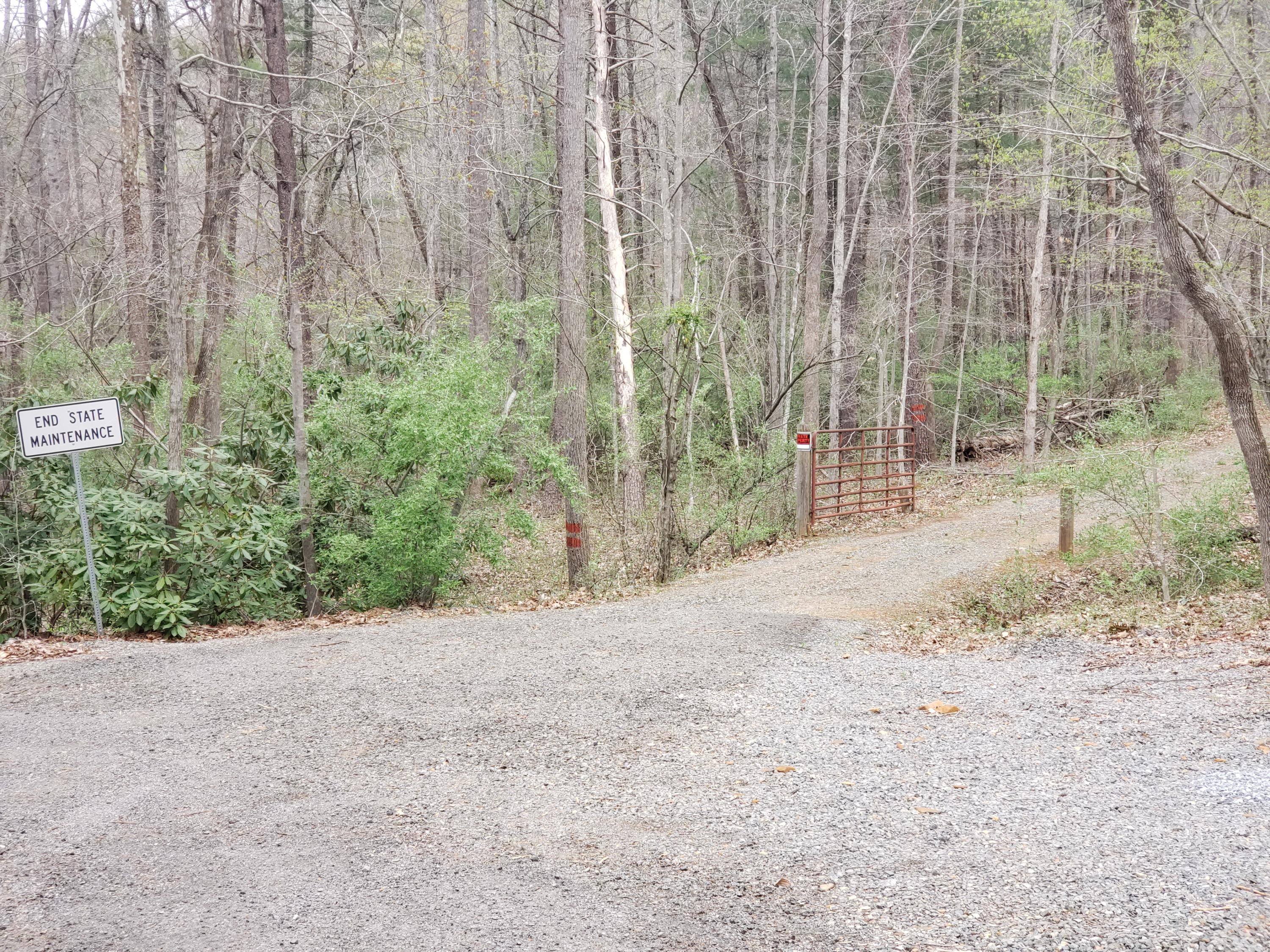 410 Peach Road Henry, VA 24102 - Photo 9 of 12 a view of a yard with trees