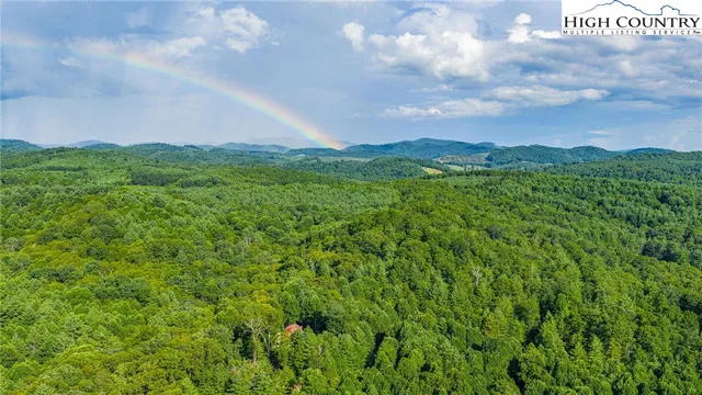 a view of a green field with lots of bushes