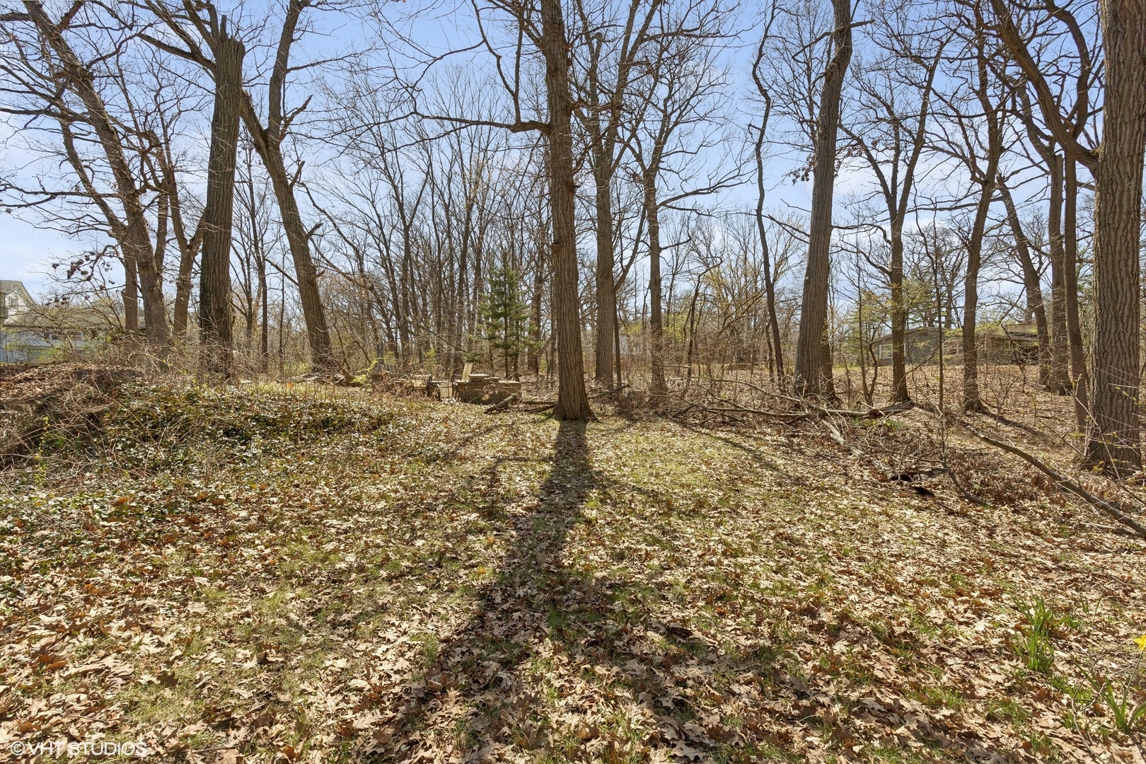8345 McCarthy Road Palos Park, IL 60464 - Photo 13 of 18 a view of a yard with trees