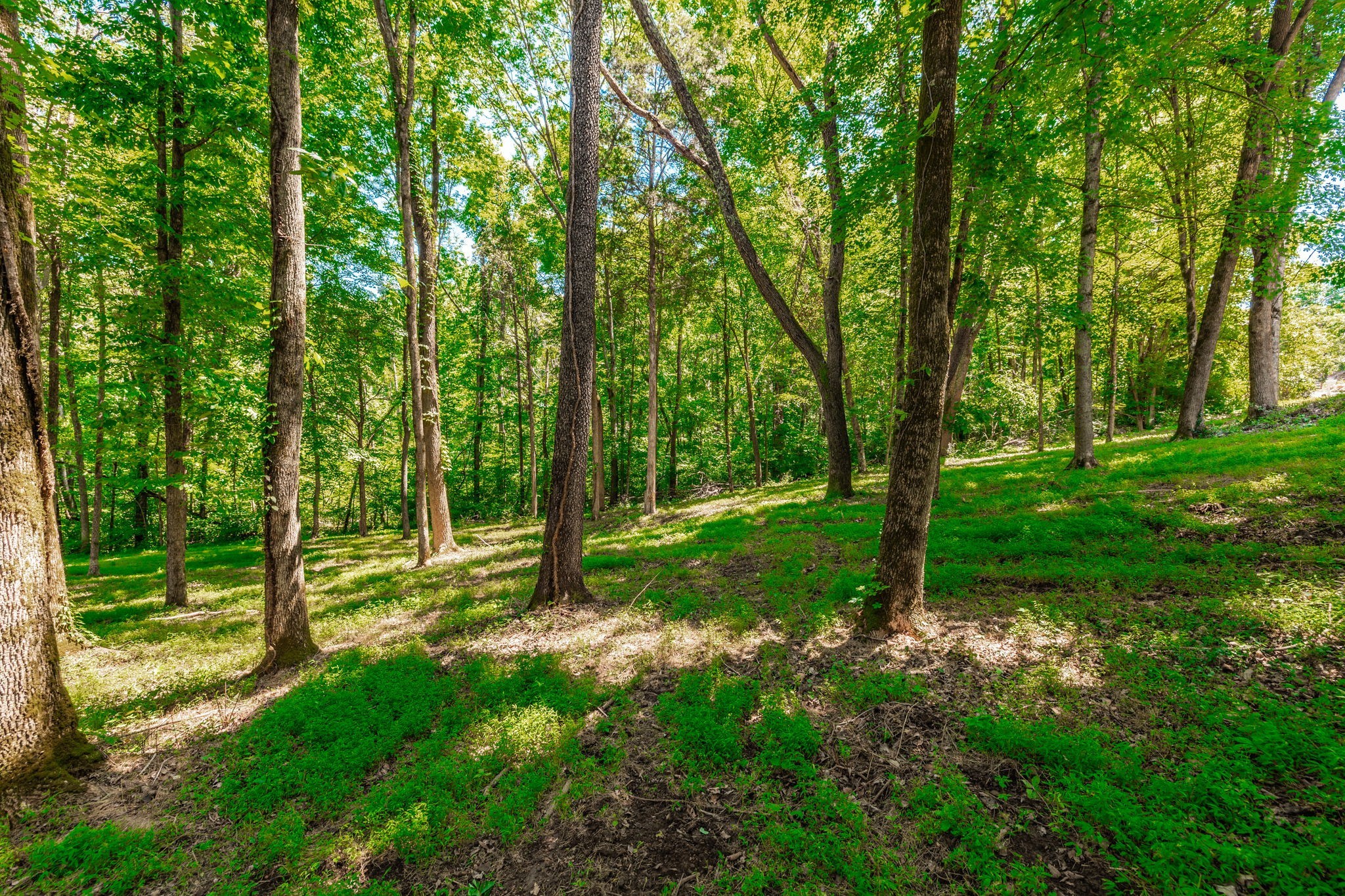 4463 Heath Road Nashville, TN 37221 - Photo 19 of 23 Gallery Image 19