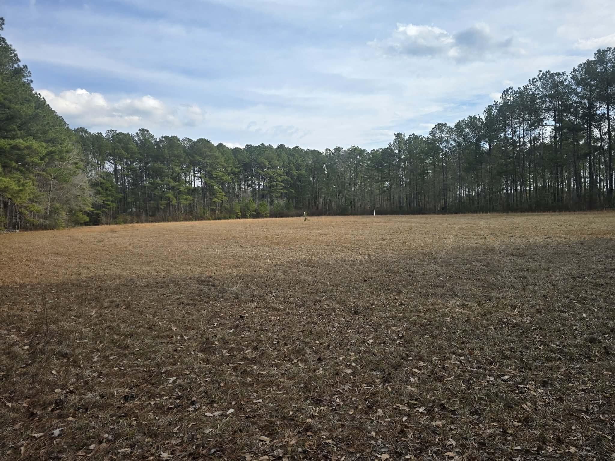 1205 Hard Pinch Road Moncks Corner, SC 29461 - Photo 4 of 7 d4a4b897-6b4c-444c-95ce-25f598b95a8e