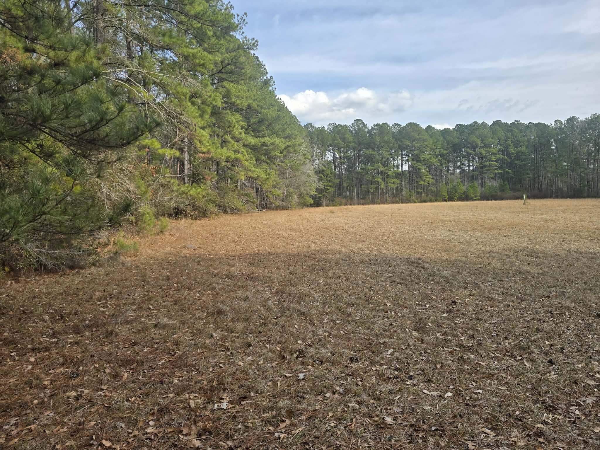 1205 Hard Pinch Road Moncks Corner, SC 29461 - Photo 5 of 7 cdb70224-2c35-4483-96e8-98c67cd92c7c