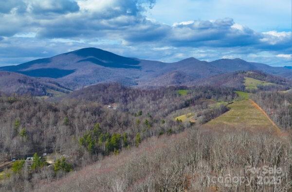 a view of a dry yard