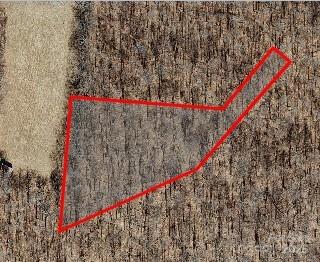 27 Poplar Forest Drive Boone, NC 28607 - Photo 5 of 12