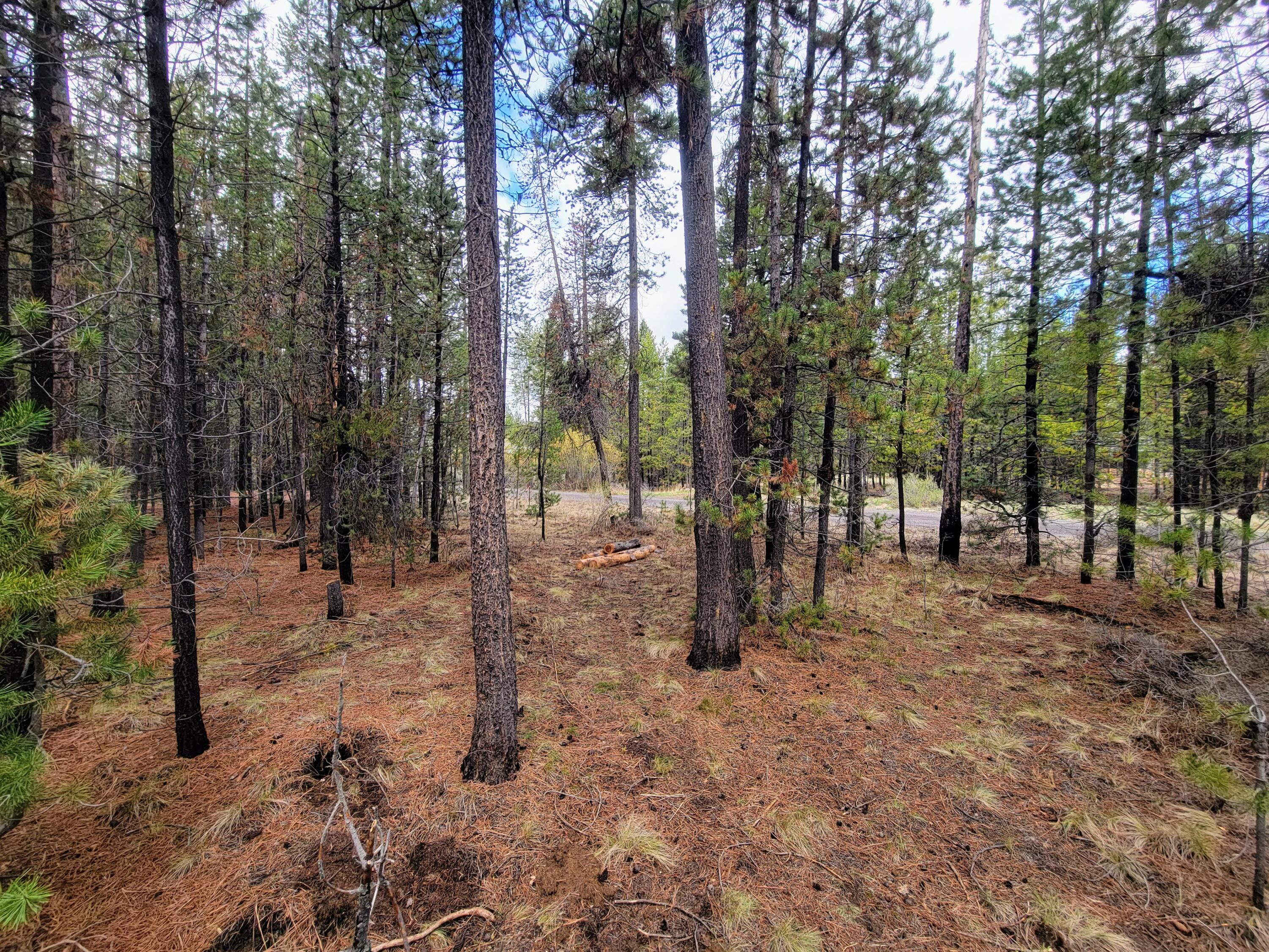 17161 Azusa Road Bend, OR 97707 - Photo 5 of 16 20230509_115603