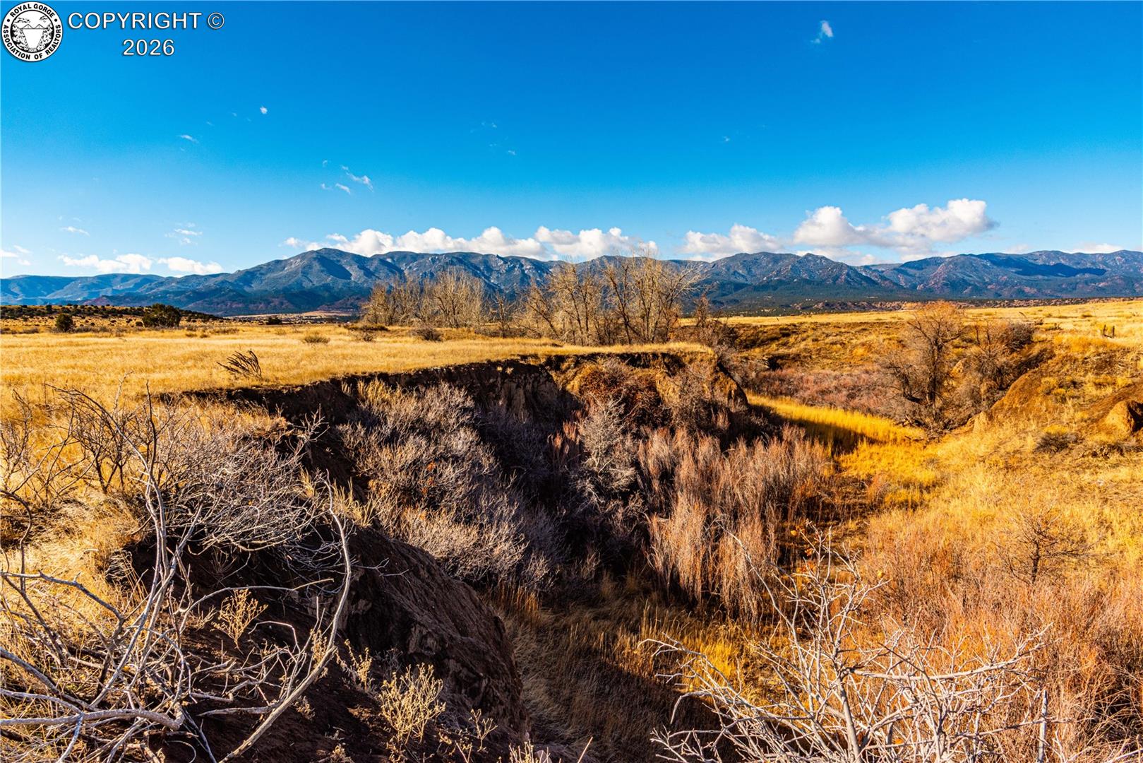 106 County Road 106 Rye, CO 81069 - Photo 12 of 35 Gallery Image 12