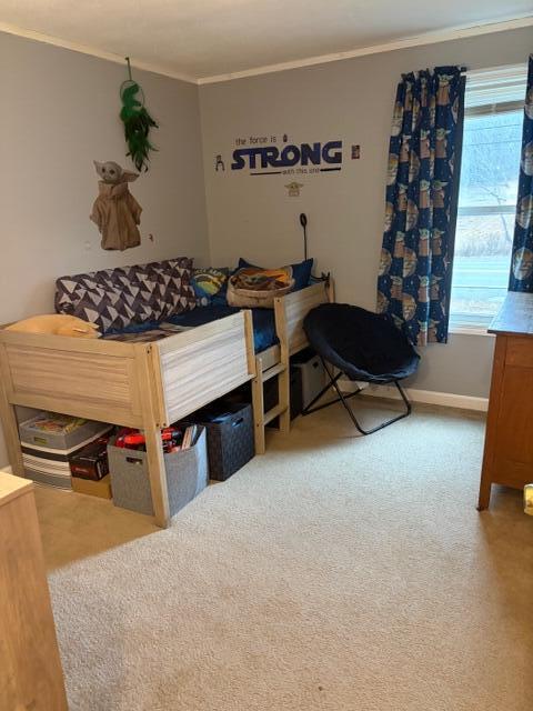 43 Blackswoods Road Franklin, ME 04634 - Photo 12 of 18 IMG_6552