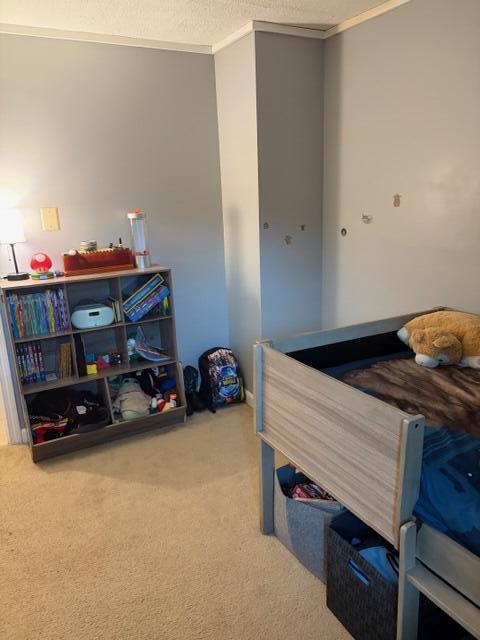 43 Blackswoods Road Franklin, ME 04634 - Photo 13 of 18 IMG_6553