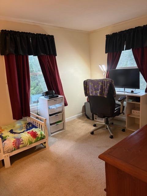 43 Blackswoods Road Franklin, ME 04634 - Photo 14 of 18 IMG_6558