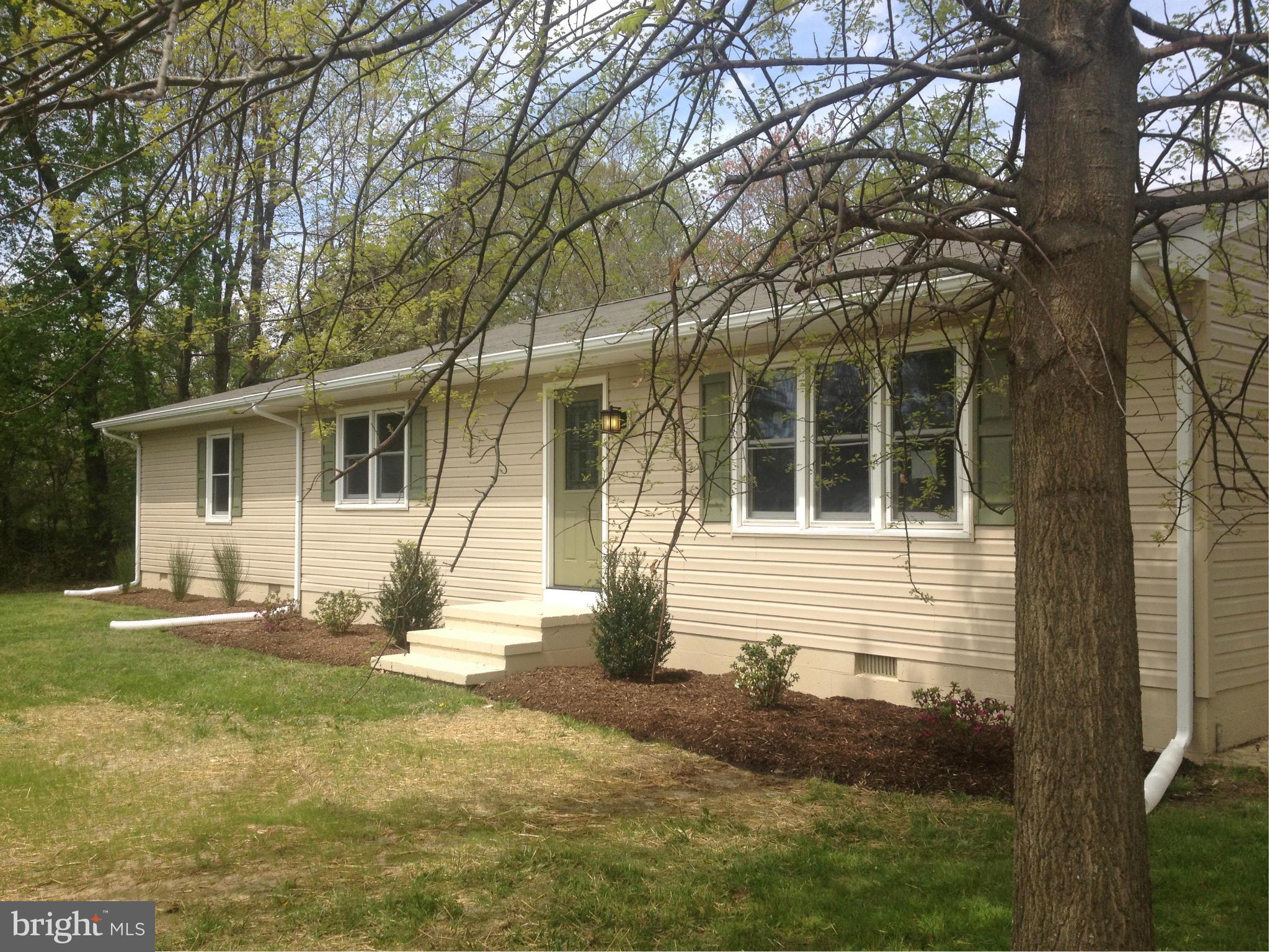 117 Scottown Road Queenstown, MD 21658 - Photo 2 of 8 Exterior (General)