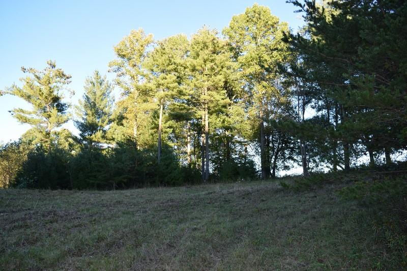 440 Horse Ridge Road Northwest Willis, VA 24380 - Photo 29 of 62 DSC_0161 (800x533)