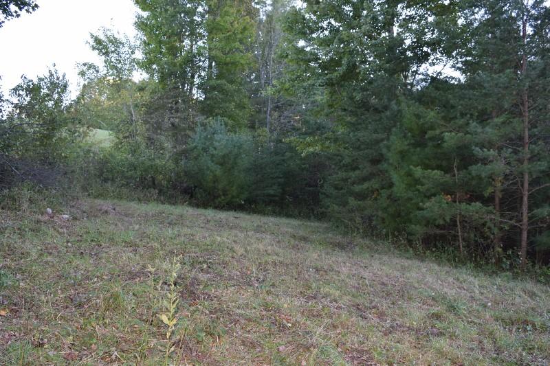 440 Horse Ridge Road Northwest Willis, VA 24380 - Photo 30 of 62 a view of a covered with trees in the background