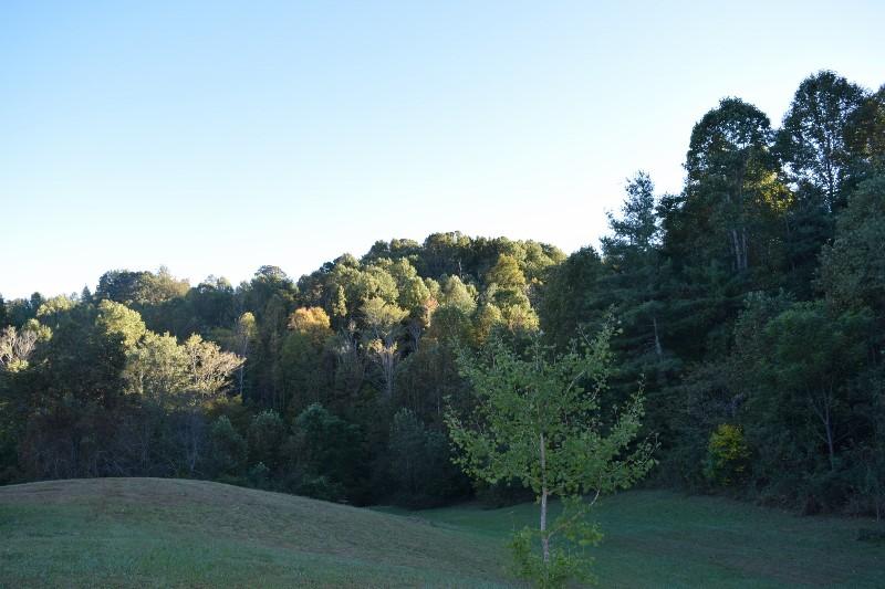 440 Horse Ridge Road Northwest Willis, VA 24380 - Photo 4 of 62 a view of a yard