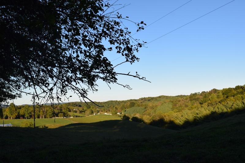440 Horse Ridge Road Northwest Willis, VA 24380 - Photo 33 of 62 DSC_0166 (800x533)