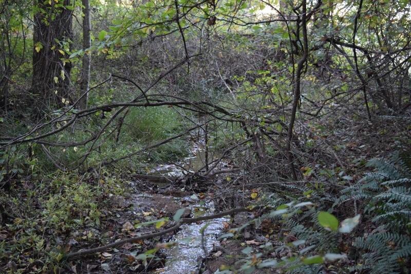 440 Horse Ridge Road Northwest Willis, VA 24380 - Photo 34 of 62 DSC_0168 (800x533)