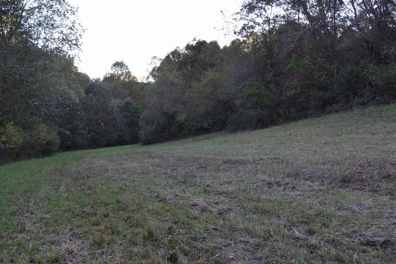 440 Horse Ridge Road Northwest Willis, VA 24380 - Photo 35 of 62 a view of a field with trees in the background