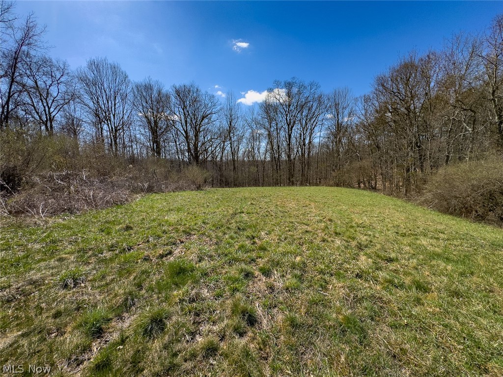 6880 Shaver Road Blue Rock, OH 43720 - Photo 17 of 36