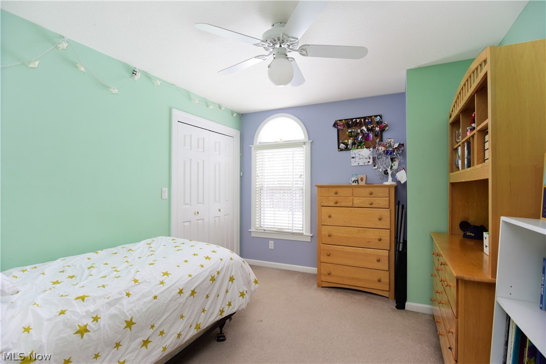 4725 Rabbit Ridge Canfield, OH 44406 - Photo 17 of 29 Gallery Image 17