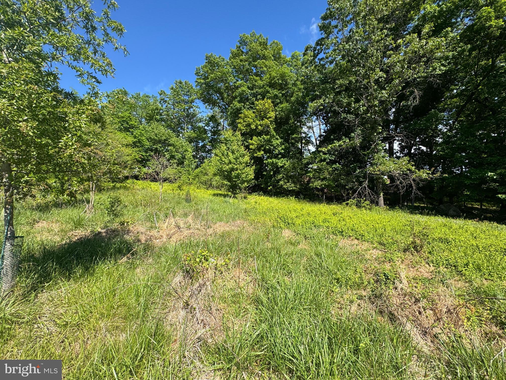 15491 Barnesville Road Boyds, MD 20841 - Photo 15 of 18 a view of yard with green space