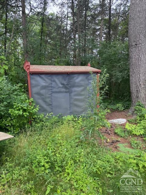 597 Vosenkill Road Catskill, NY 12414 - Photo 17 of 17 a view of a tree in a yard