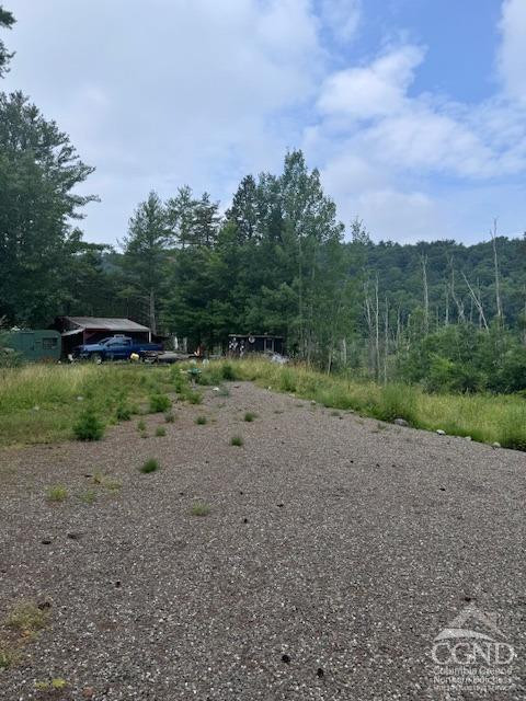 597 Vosenkill Road Catskill, NY 12414 - Photo 2 of 17 a view of a field with trees in the background