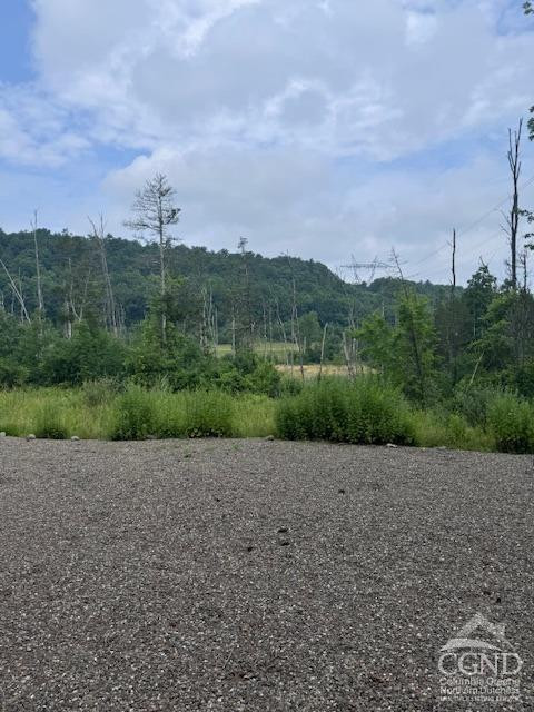 597 Vosenkill Road Catskill, NY 12414 - Photo 4 of 17 a view of a grassy area with mountains and a street