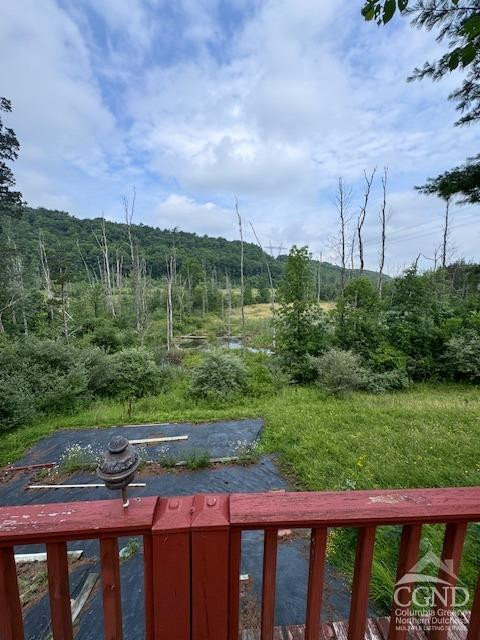 597 Vosenkill Road Catskill, NY 12414 - Photo 5 of 17 a view of a green yard next to a yard