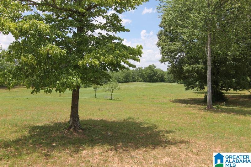 4747 County Road 33 Wadley, AL 36276 - Photo 35 of 36